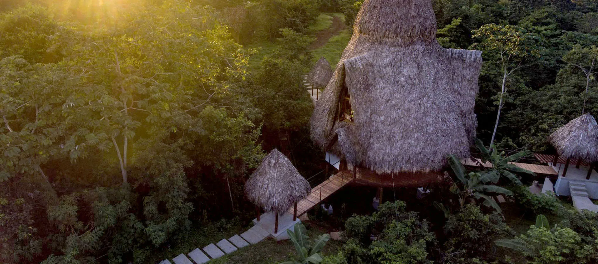 The jungle canopy surrounding Awaken and Rancho Delicioso