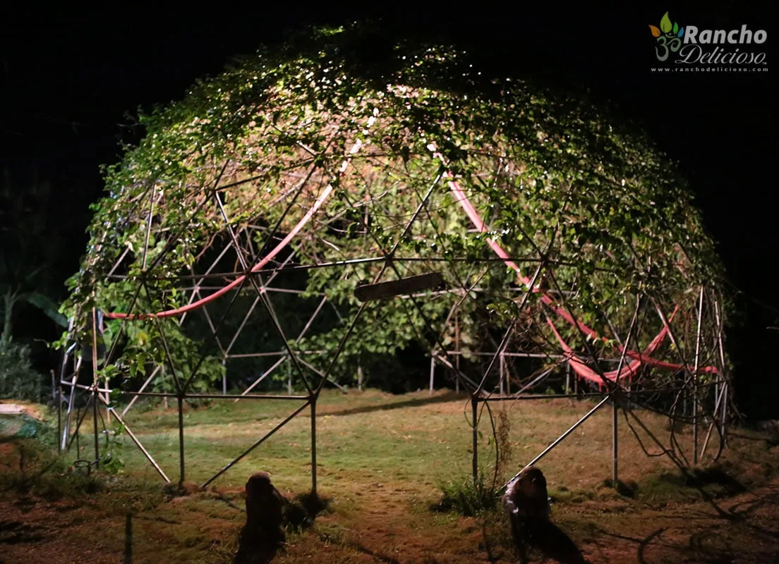 The Passion Dome lit up at night at Rancho Delicioso eco-village